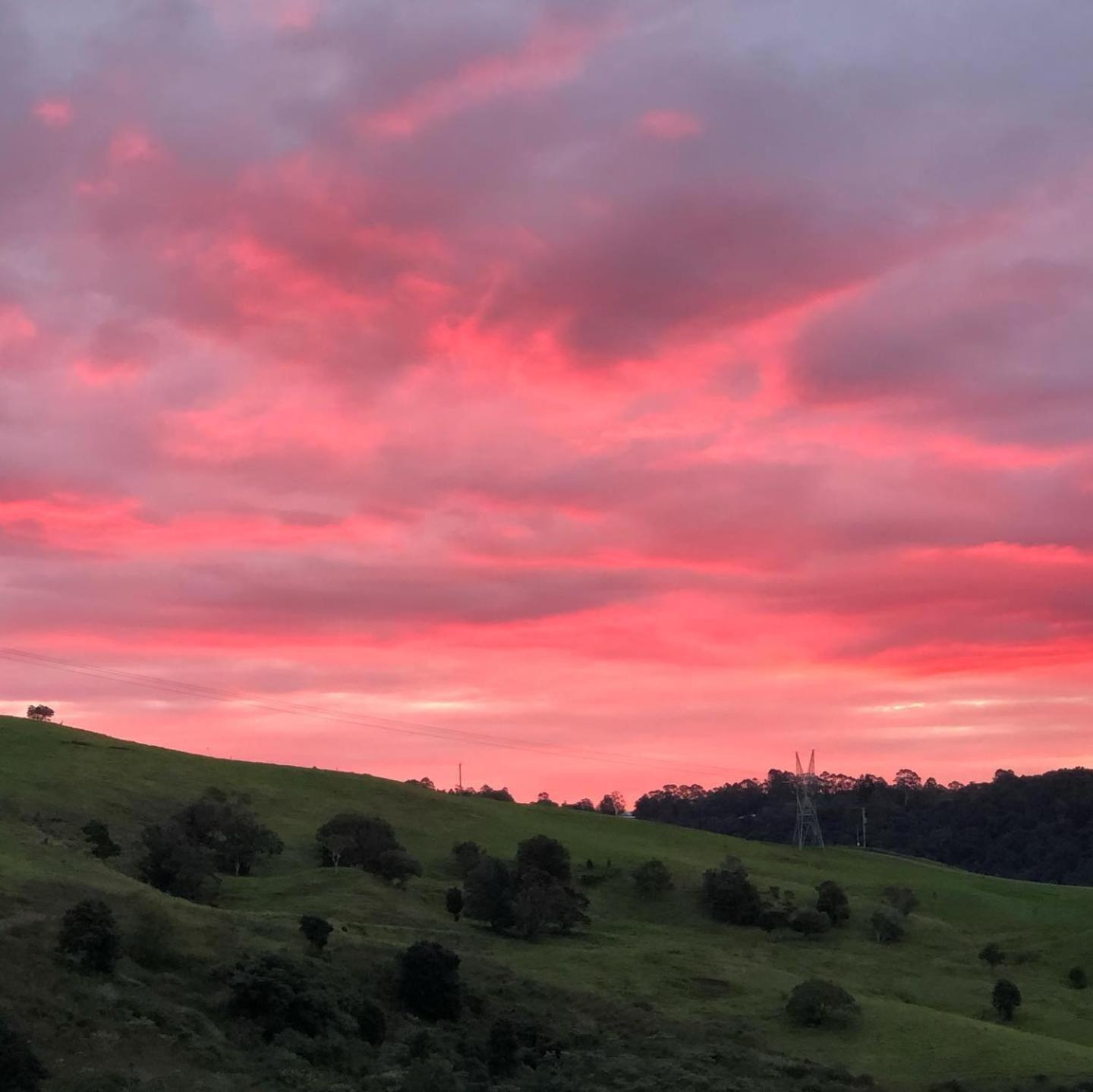 Top Of The Hill Maleny Εξωτερικό φωτογραφία
