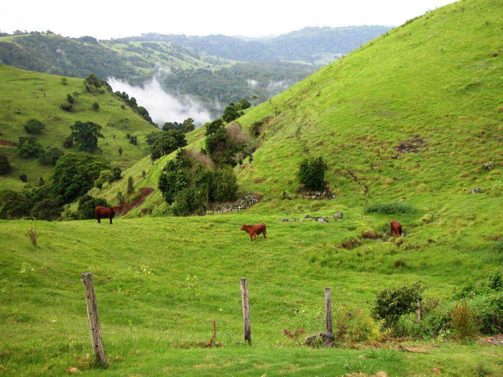 Top Of The Hill Maleny Εξωτερικό φωτογραφία