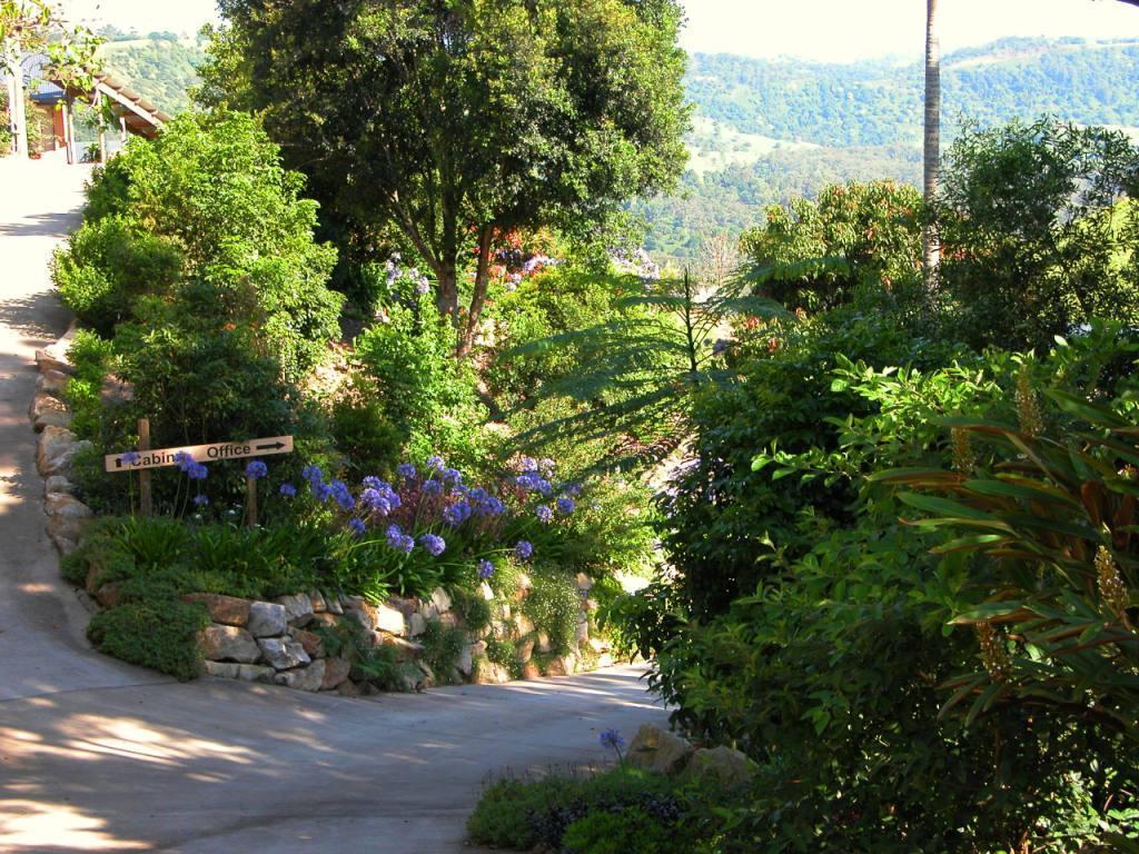 Top Of The Hill Maleny Εξωτερικό φωτογραφία