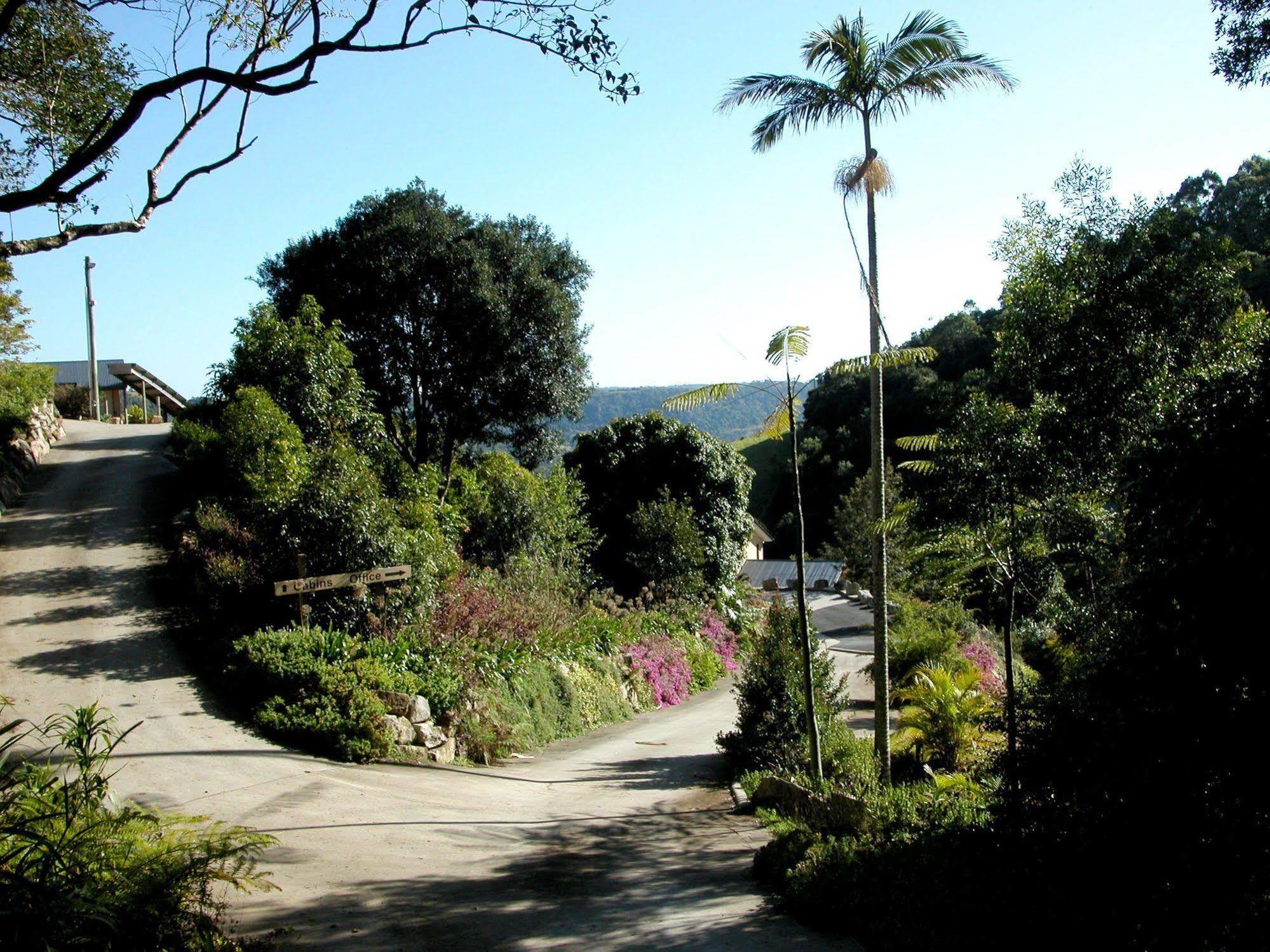 Top Of The Hill Maleny Εξωτερικό φωτογραφία
